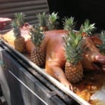 luau roast - pig with pineapples luau roast - pig with pineapples